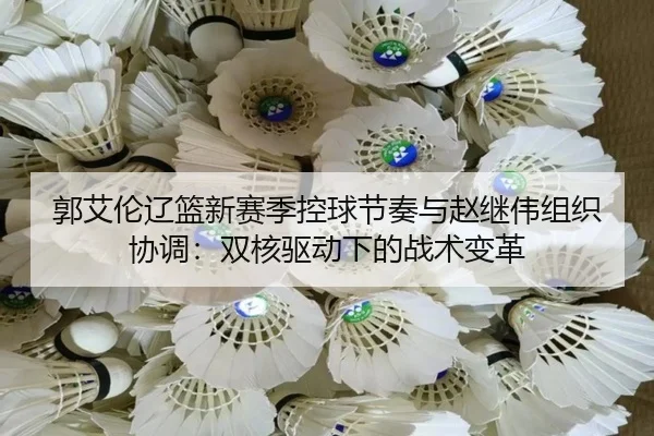 guo-ai-lun-liao-lan-xin-sai-ji-kong-qiu-jie-zou-yu-zhao-ji-wei-zu-zhi-xie-tiao-shuang-he-qu-dong-xia-de-zhan-shu-bian-ge-3-146.jpg