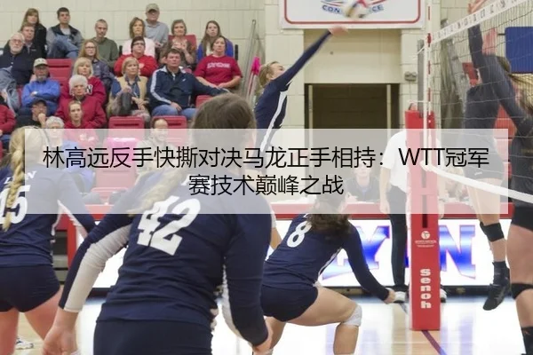 林高远反手快撕对决马龙正手相持：WTT冠军赛技术巅峰之战