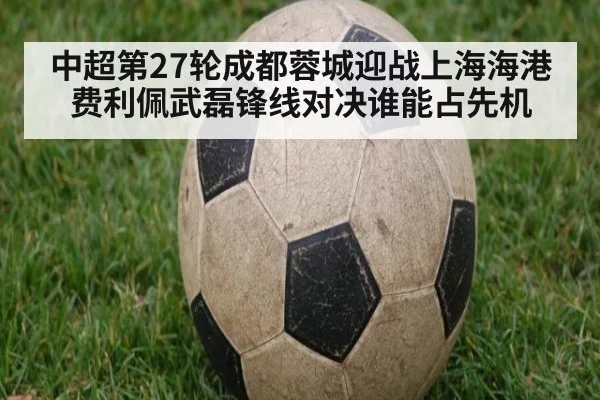 中超第27轮成都蓉城迎战上海海港 费利佩武磊锋线对决谁能占先机